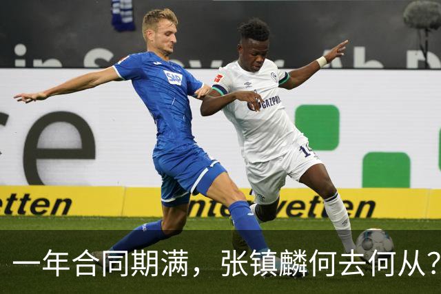一年合同期满，张镇麟何去何从？两条路可走，看上海诚意如何了